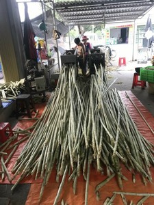 Top Quality Frozen Sugarcane Vietnam Supplier Affordable Wholesale Ready for Export - Product Image 2