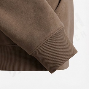 Sudadera con capucha extragrande de otoño, personalizada con bordado, de algodón y felpa, para marcas, color personalizado premium. - Product Image 6