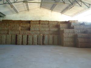 Vente en gros de balles de fibres de coco de qualité export pour matelas, fabrication de cordes, exportation de fibres de coco d'Inde - Product Image 3