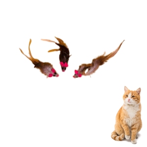 Juguete de plumas para gatos para ejercicio, caza y juego interactivo - Product Image 5