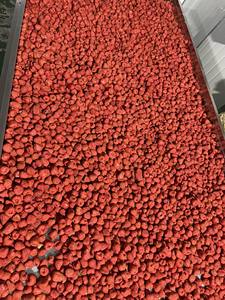 Fabricant vietnamien de fraises lyophilisées, collations saines, fruits naturels, approvisionnement en vrac, export, marque privée - Product Image 2