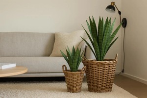 Juego de 2 cestas de ratán con asas para plantas de interior, decoración del hogar y jardín, almacenamiento y cubierta para macetas, de la India. - Product Image 3