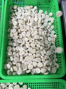 Tranches et morceaux de bananes surgelées IQF, bananes fraîches et mûres, norme d'exportation du Vietnam, avec service OEM - Product Image 6