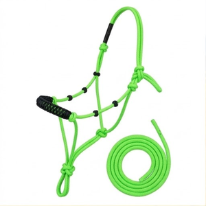 Laisse d'entraînement professionnelle verte tressée avec muserolle à attache rapide, cordon de qualité supérieure et connexions renforcées intégrées - Product Image 1