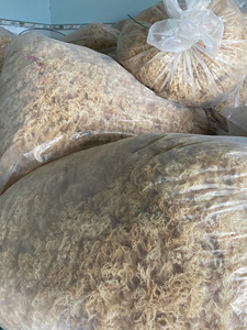 MUSGO DE MAR ORGÁNICO PREMIUM AL POR MAYOR PARA EXPORTACIÓN, MUSGO SECO VIETNAMITA COSECHADO EN SUELA DE MAR, SEASONADO Y PROCESADO, MEJOR PRECIO - Sra. Lily - Product Image 5