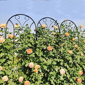 Set di 4 tralicci da giardino in metallo stile pavone, 220 cm x 50 cm, antiruggine, supporto per piante rampicanti da esterno, nero - Product Image 6