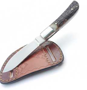 Cuchillo de Camping con Hoja de Acero Inoxidable y Funda de Cuero Marrón, Cuchillo de Supervivencia para Exteriores - Product Image 1