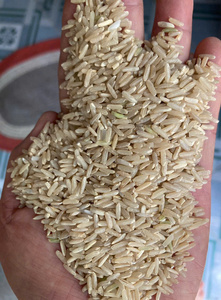 Arroz Integral Premium al por Mayor para Restaurantes, Venta al por Menor y Exportación con Nutrición Natural de Grano Integral - Product Image 2