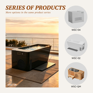 Bañera de Inmersión en Agua Fría de Diseño Contemporáneo en Acrílico con Base de Panel de Madera, <span class=keywords><strong>Oasis</strong></span> de Recuperación Todo en Uno con Enfriador - Product Image 4