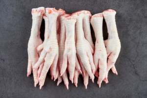 ขาไก่ปี 2026 / ตีนไก่แช่แข็ง ออสเตรีย / คุณภาพดีที่สุด คาเฟอีนต่ำ น้ำตาลน้อย ปราศจากไขมันทรานส์ บรรจุภัณฑ์สุญญากาศเพื่อส่งออก - Product Image 4