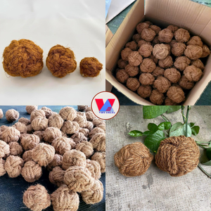 Pelota Masticable de Fibra de Coco de Alta Calidad al por Mayor, Juguete Sostenible para Mascotas, Esfera de Cáscara de Coco, Suministros para Tiendas de Mascotas, Cuidado Dental, Pelota Molar - Product Image 1