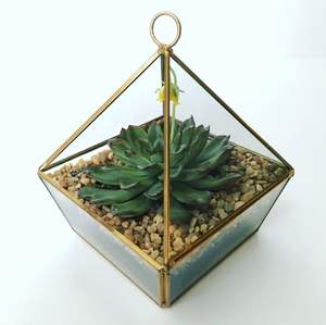 Elegante Decoración de Balcón, Contenedor Colgante para Plantas de Interior, Mini Jardín, Arreglo Decorativo Creativo - Product Image 2