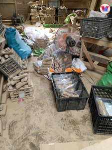 AVAILABLE Premium Coffee Wood Chew Stick Hardwood Chewable Bone For Puppy Teething Boredom Relief Vacuum <b>Pack</b> 24kg <b>Box</b> - Product Image 2