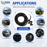 Faisceau de câbles automobile étanche sur mesure pour système électrique de véhicule 12V/24V