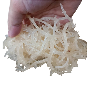 Mejor Precio, Musgo Marino Seco 100% Puro, Eucheuma Cottonii Natural, Suministro a Granel Directo de Fábrica, Vietnam - Product Image 5