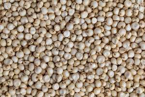 Graines de sorgho en vrac, vente en gros, graines de sorgho naturelles et biologiques pour l'alimentation animale, la transformation alimentaire, la brasserie, fournisseur d'aliments bruts pour animaux, exportation - Product Image 6
