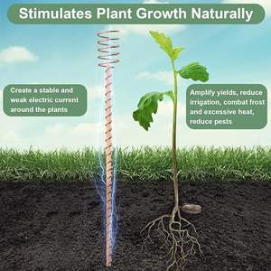 Bâtonnets d'électroculture en cuivre pur faits à la main pour l'activation du sol en jardinage biologique et l'amélioration naturelle de la croissance des plantes - Product Image 3
