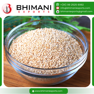 Semillas de Sésamo Blancas de Alta Calidad, Ricas en Proteínas y Nutrientes, Tamaño Uniforme, Listas para Comer, Procesamiento Crudo, Paquetes Personalizados, Industria de Alimentos para Animales - Product Image 2