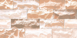 Carreaux muraux Premium Choice de qualité supérieure, carreaux d'élévation Asia Tiles 300x600mm pour articles de santé. - Product Image 4