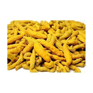 Doigts de curcuma abordables proposés aux grossistes et aux importateurs - Product Image 3