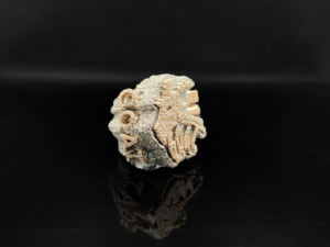 Anillo de Compromiso de Lujo con Corona de Plata Plateada y Moissanita Premium DEF de 0.5 Quilates - Product Image 4