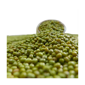 Venta al por mayor de frijoles Vigna Mung a bajo precio, calidad de exportación, envío rápido - Product Image 6