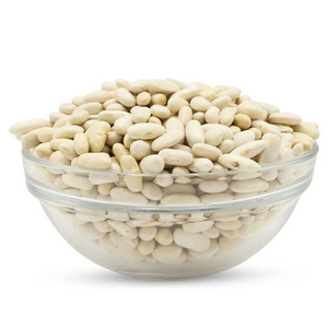 Venta al por mayor de frijoles blancos de la mejor calidad a precio económico 100% - Product Image 5