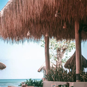 Diseño de Techo Falso Natural de Primera Calidad KRAFTERS para Cafés de Playa, Resorts y Espacios de Patio - Product Image 1