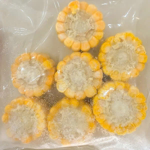Maïs sucré surgelé IQF de qualité supérieure, en épi, croustillant, jaune doré, pour la restauration, les barbecues et les chaînes de restauration rapide - Product Image 2