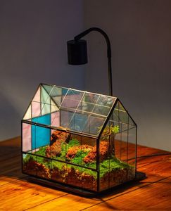 Terrario de Metal y Vidrio Personalizado en Oro Rosa, Moderno Macetero de Vidrio para Plantas de Interior, Suculentas, Plantas Aéreas y Terrarios DIY - Product Image 5