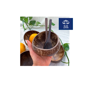 En stock – Bol en coque de noix de coco écologique, sûr et propre, 100 % végétal, idéal pour servir des salades et conserver des collations – En promotion - Product Image 1