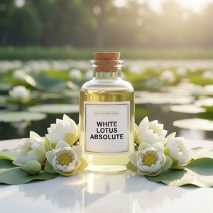 Huile absolue de lotus blanche, extrait naturel de Nymphaea Lotus pour la parfumerie de luxe et l'aromathérapie - Product Image 2