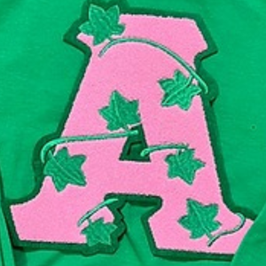Green Crew Neck Sweatshirt with <b>Pink</b> Letter A and Green Leaf Embroidery <b>Long</b> <b>Sleeve</b> Pullover Casual Women's Fashion <b>Top</b> Soft - Product Image 4