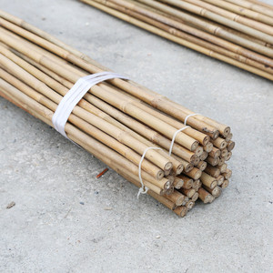 cheap price-Strong Bamboo <b>Poles</b> <b>for</b> Farming <b>Garden</b> Big Round Bamboo <b>Poles</b> Wholesale Best Price Bamboo <b>Pole</b> From Vietnam - Product Image 5