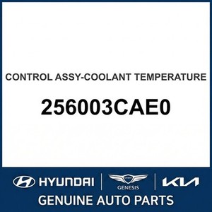 Grandeur/Azera Nuevos Termostatos y Carcasas 256003CAE0 - Product Image 1