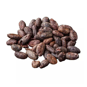 เมล็ดโกโก้คุณภาพดีที่สุดขายส่งในราคาถูก - Product Image 2