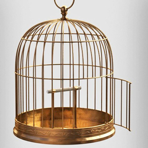 Vintage Metal <b>Decorative</b> <b>Bird</b> <b>Cage</b> with Antique Brass Finish Ornamental Birdcage with Opening Door for Home Garden Decor - Product Image 5