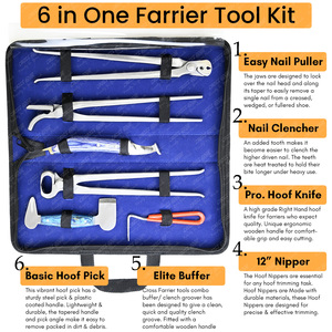 Kit de herramientas de herrador de caballos, pinza de uñas de caballo, extractor, cuchillo de pezuña de recorte, amortiguador, herramienta de selección de pezuña e instrumento veterinario Clincher - Product Image 2