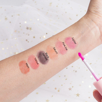 Ensemble de gloss à lèvres brillant et hydratant minéral végétalien 6 couleurs, longue tenue, haute brillance, non collant, kit de maquillage pour les lèvres