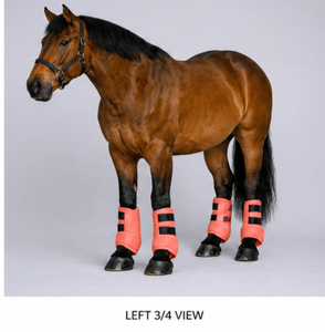 Bottes d'équitation en néoprène, amortissantes, respirantes, durables, protection des jambes, service OEM. - Product Image 4