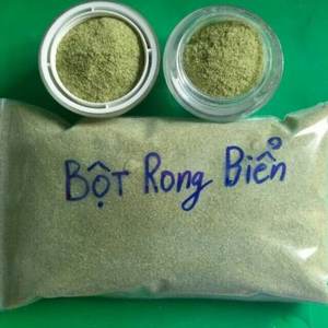 ผงสาหร่ายสีเขียวอบแห้งบริสุทธิ์/สาหร่าย ulva Lactuca จากเวียดนาม/mr.kris - Product Image 4