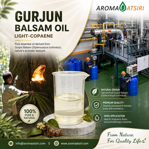 Aroma Atsiri Gurjun Balsam <b>Oil</b> Light Copaene 100% Pure Steam Distilled Essential <b>Oil</b> Premium Quality Natural Origin - Product Image 1