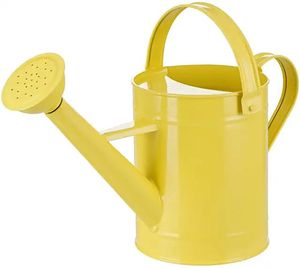 Decorative Vintage Metal <b>Garden</b> Watering Can Stylish Gardening <b>Tool</b> Perfect For Watering Plants And Flower Pots - Product Image 4
