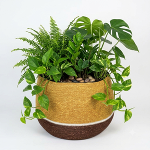 Minimalist Hand Woven <b>Seagrass</b> Planter With Striped Pattern for Home Outdoor Patio Garden Decor <b>Plant</b> <b>Pots</b> & Planters - Product Image 3
