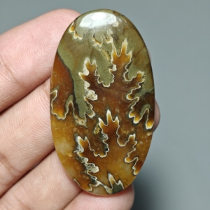 Cabujón de Amonita Suturada Ovalado para Joyería 44x29x6 mm. 71 Ct. E776 - Product Image 3