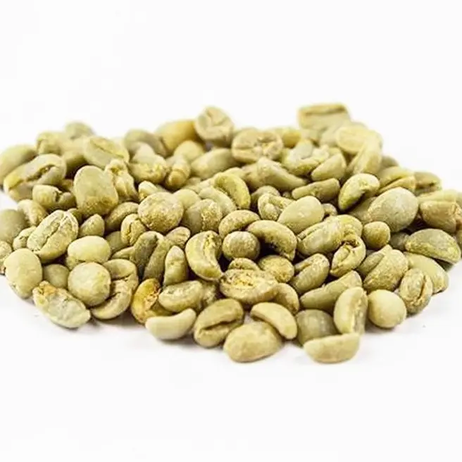 High Quality Vietnamese Robusta Arabica Natual/Wet Polished Green Bean Coffee for finish coffee