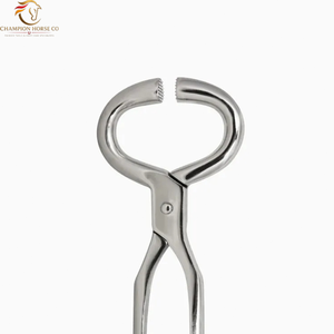 Testeur de sabots vétérinaire pour chevaux, en acier inoxydable plat, robuste, réutilisable, écologique, Pentax, haute qualité, CE, chirurgical - Product Image 3