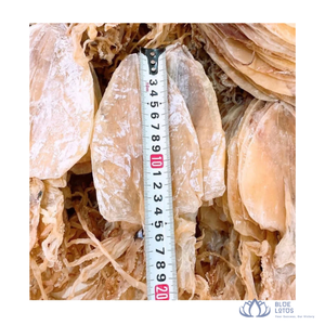 VENTES CHAUDES |   Calamars et calamisiers séchés de qualité supérieure, en sachet sous vide, conformes aux normes européennes, pour la cuisson, la grillade et la consommation, de Blue Lotus - Product Image 6