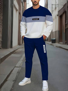 Conjunto de Hombre de Alta Calidad al por Mayor de Fábrica, Otoño Invierno, Código Europeo, Tejido de Algodón, Cuello Alto, Lavado Digital, LOGO Personalizado - Product Image 3