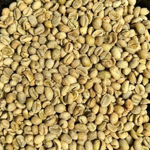 Vietnam Arabica Natural Coffee <b>Beans</b> Bulk Raw Green Export Quality Coffee Industry Supplier - Product Image 3